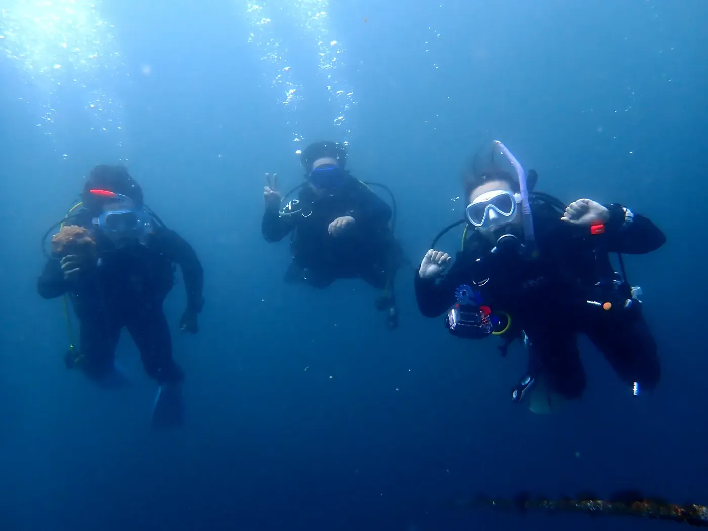 三浦の青い海の中を、並んで泳ぐダイバー